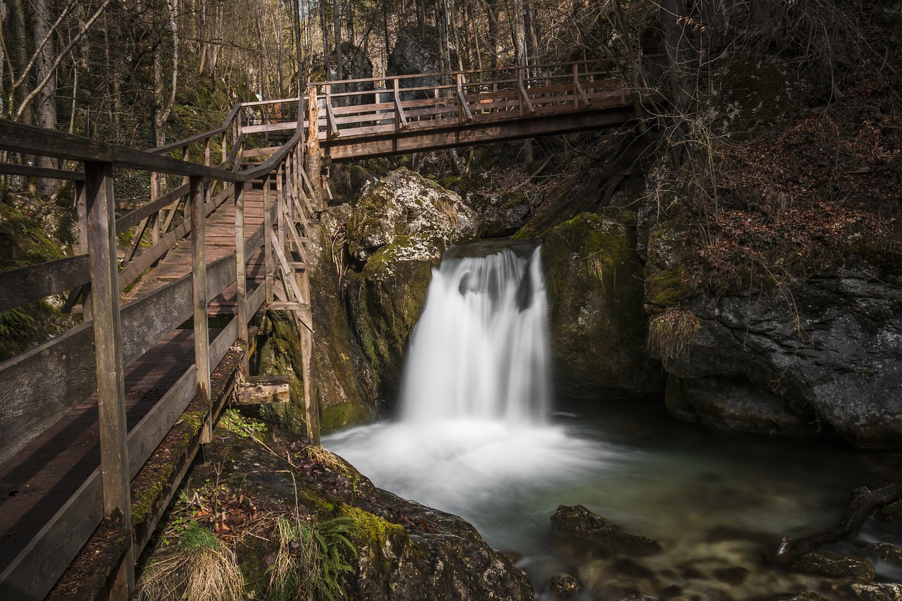 water bach river free photo