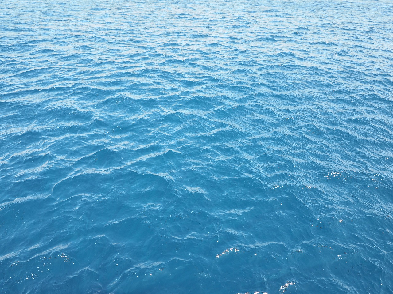 water blue sea free photo