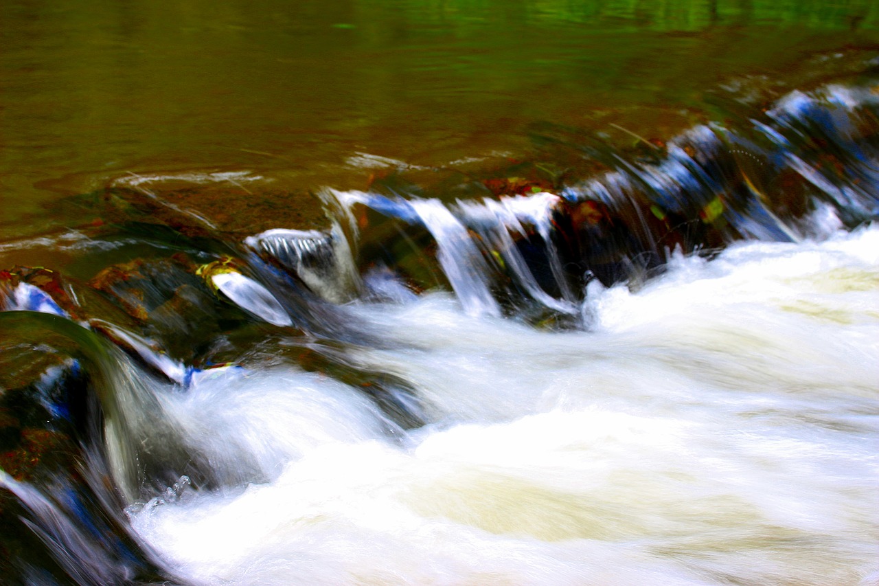 water bach river free photo