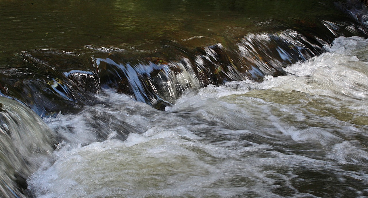 water bach river free photo