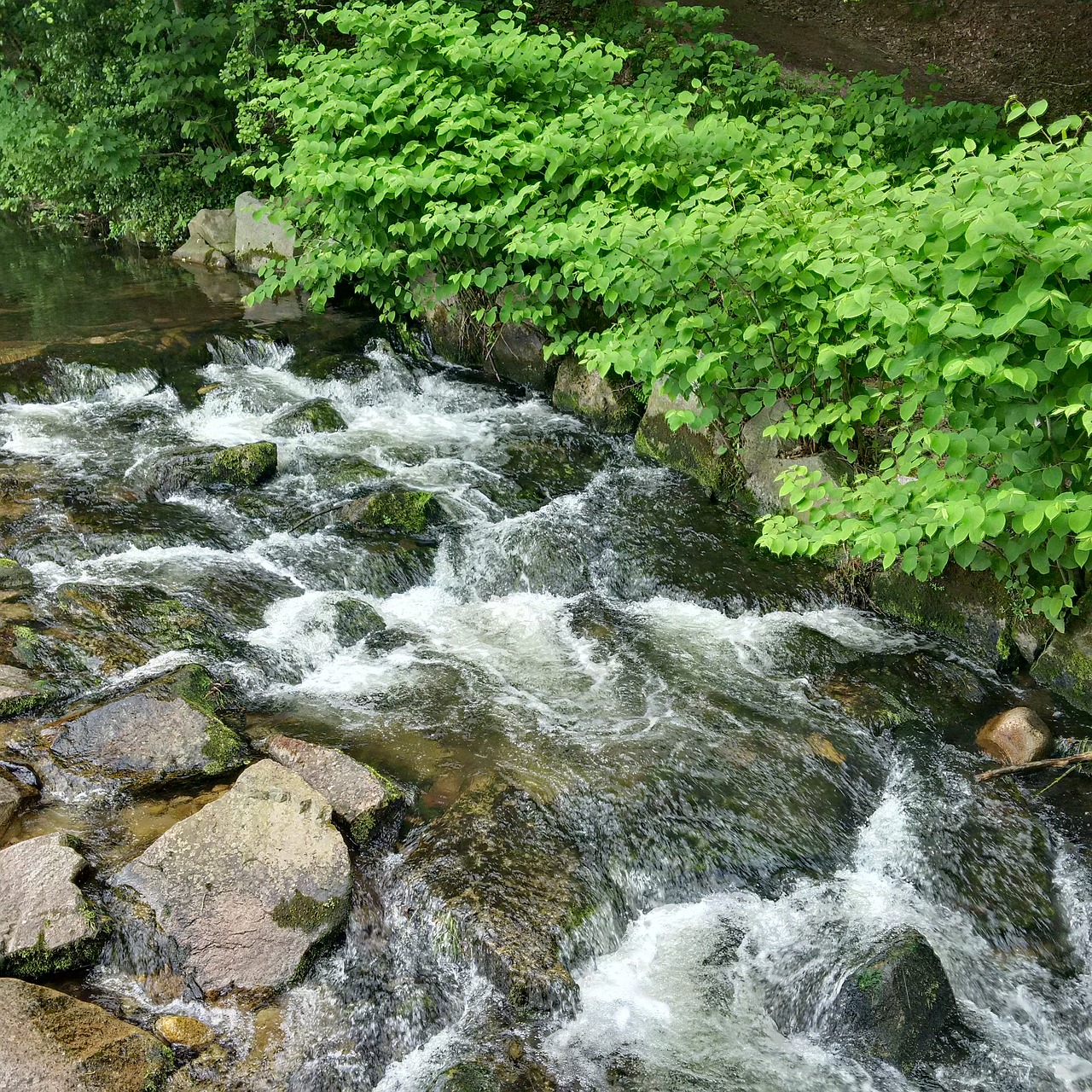 river fluent flow water free photo