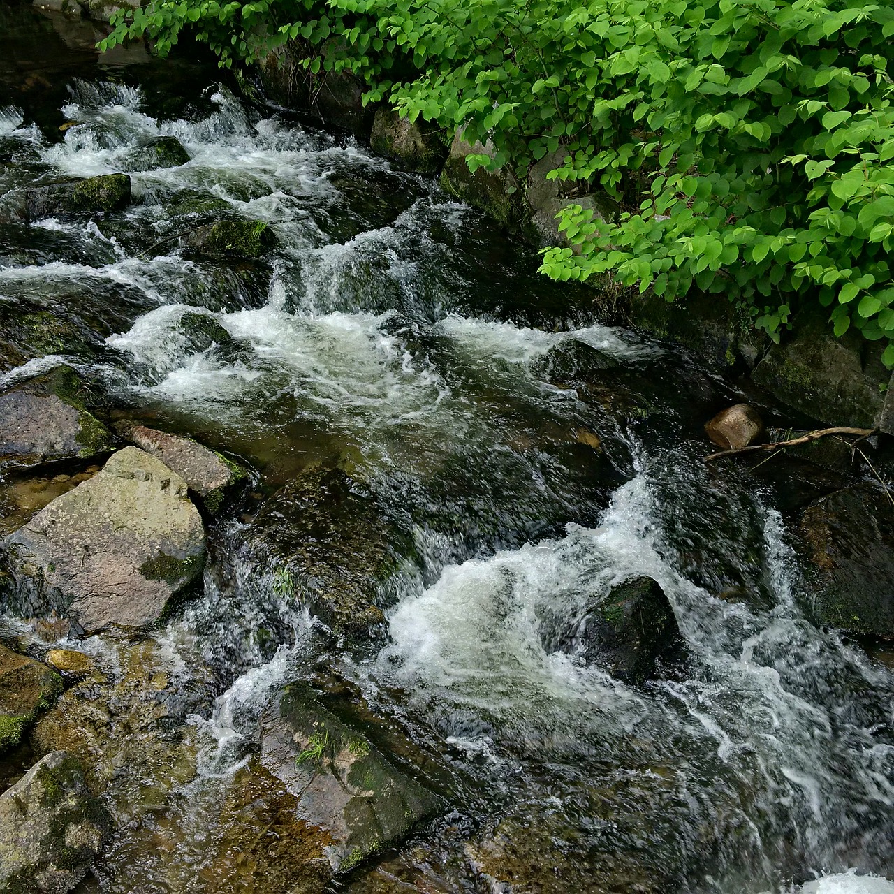 river fluent flow water free photo