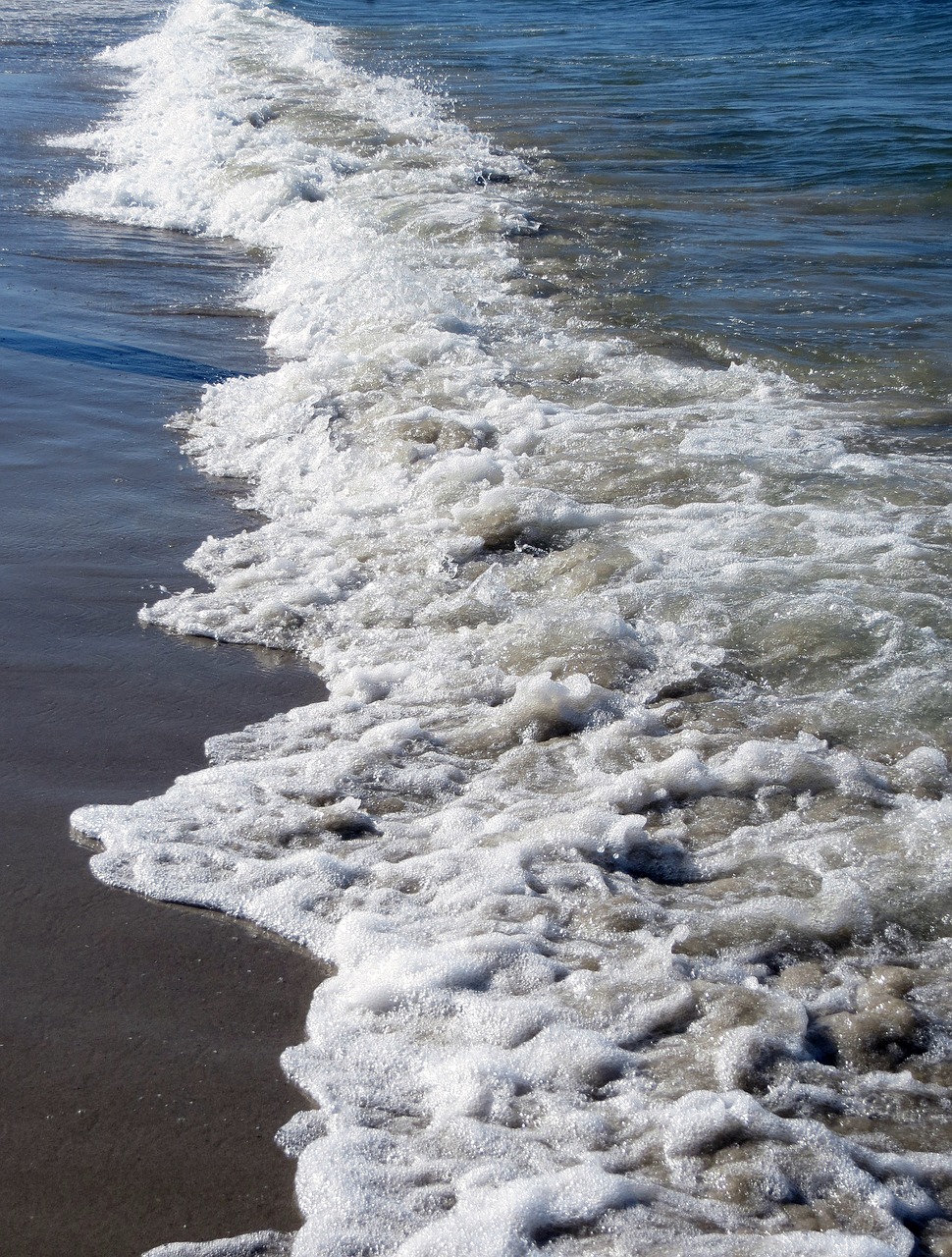 water sea beach free photo