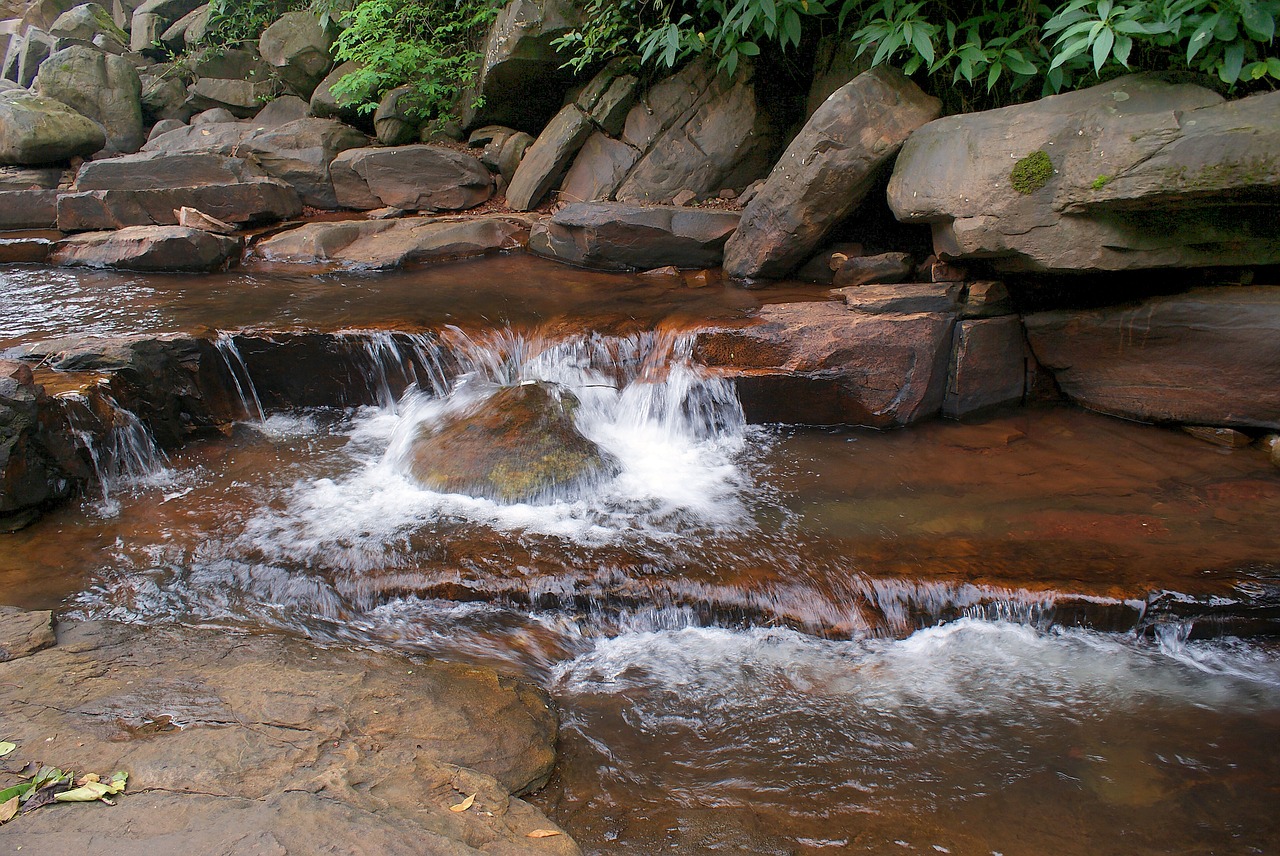 water green growth free photo