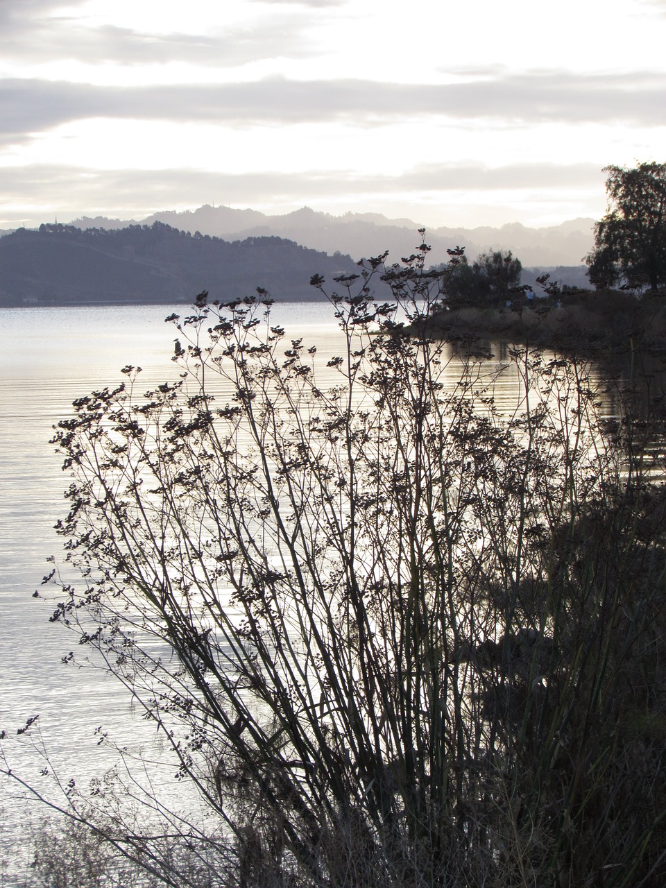 water nature mountains free photo