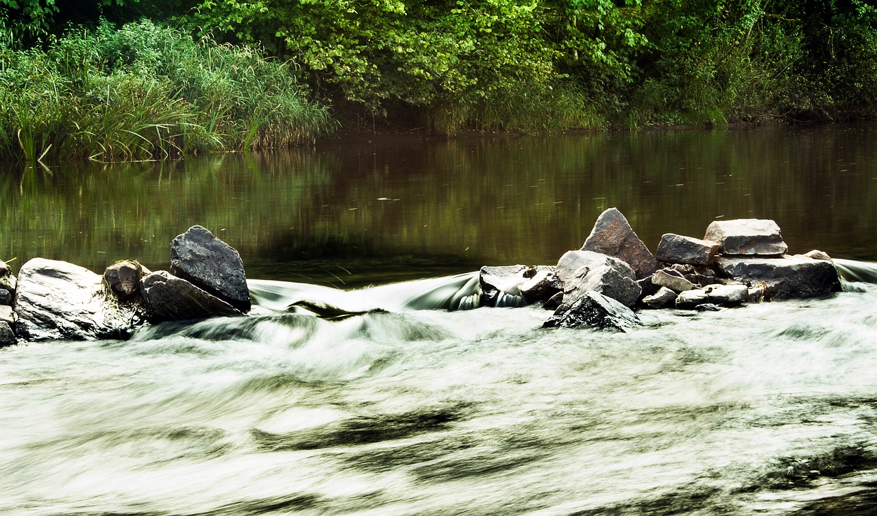 water bach river free photo