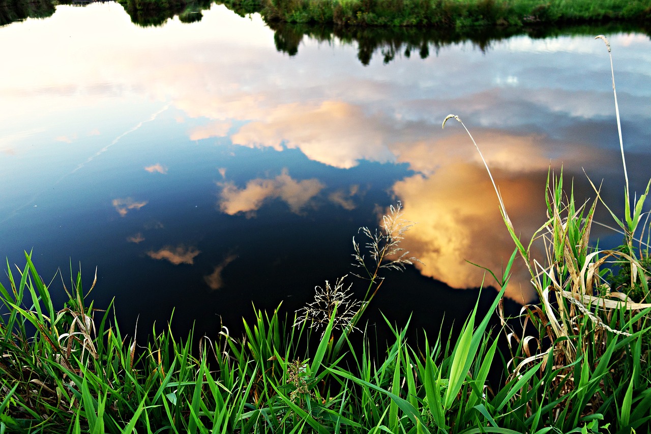 water river river bank free photo