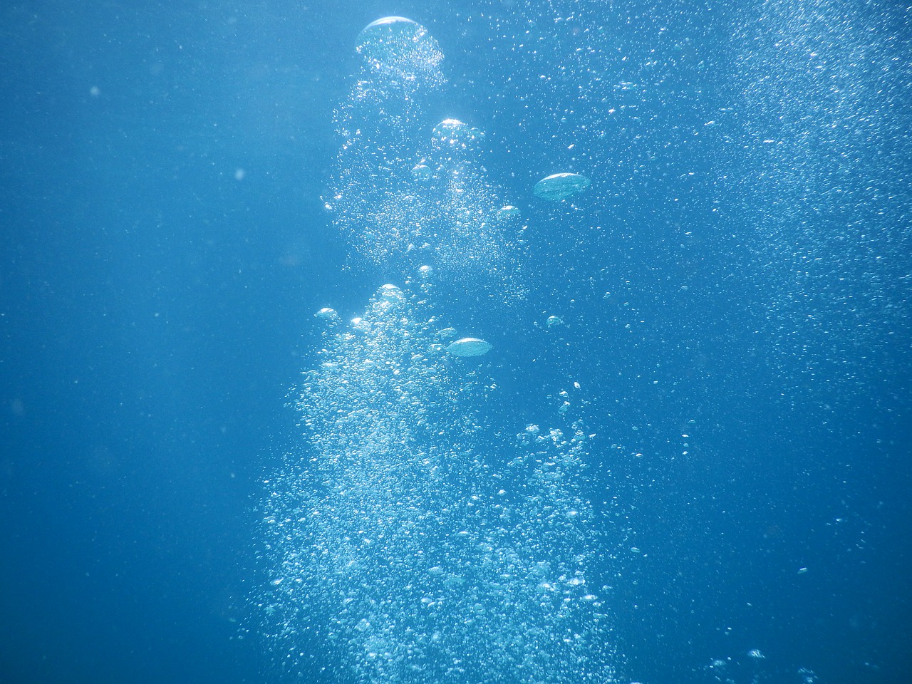 water diving underwater free photo