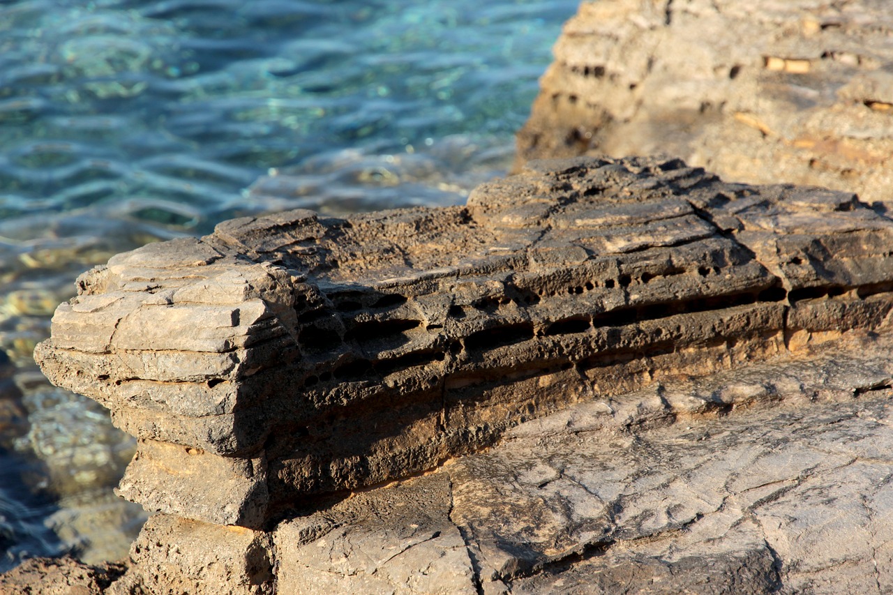 water sea rock free photo