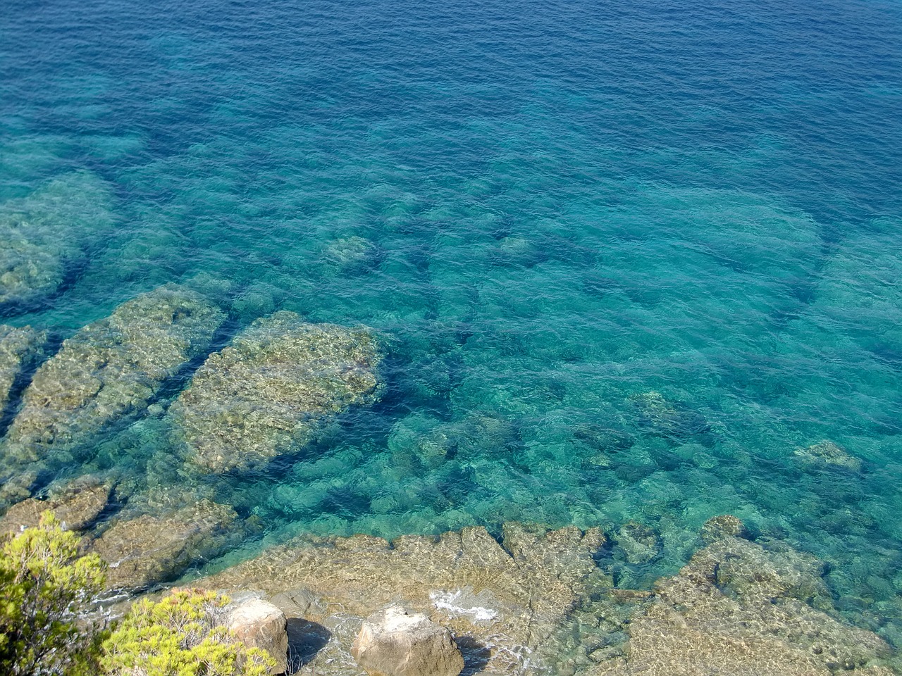 water sea rock free photo