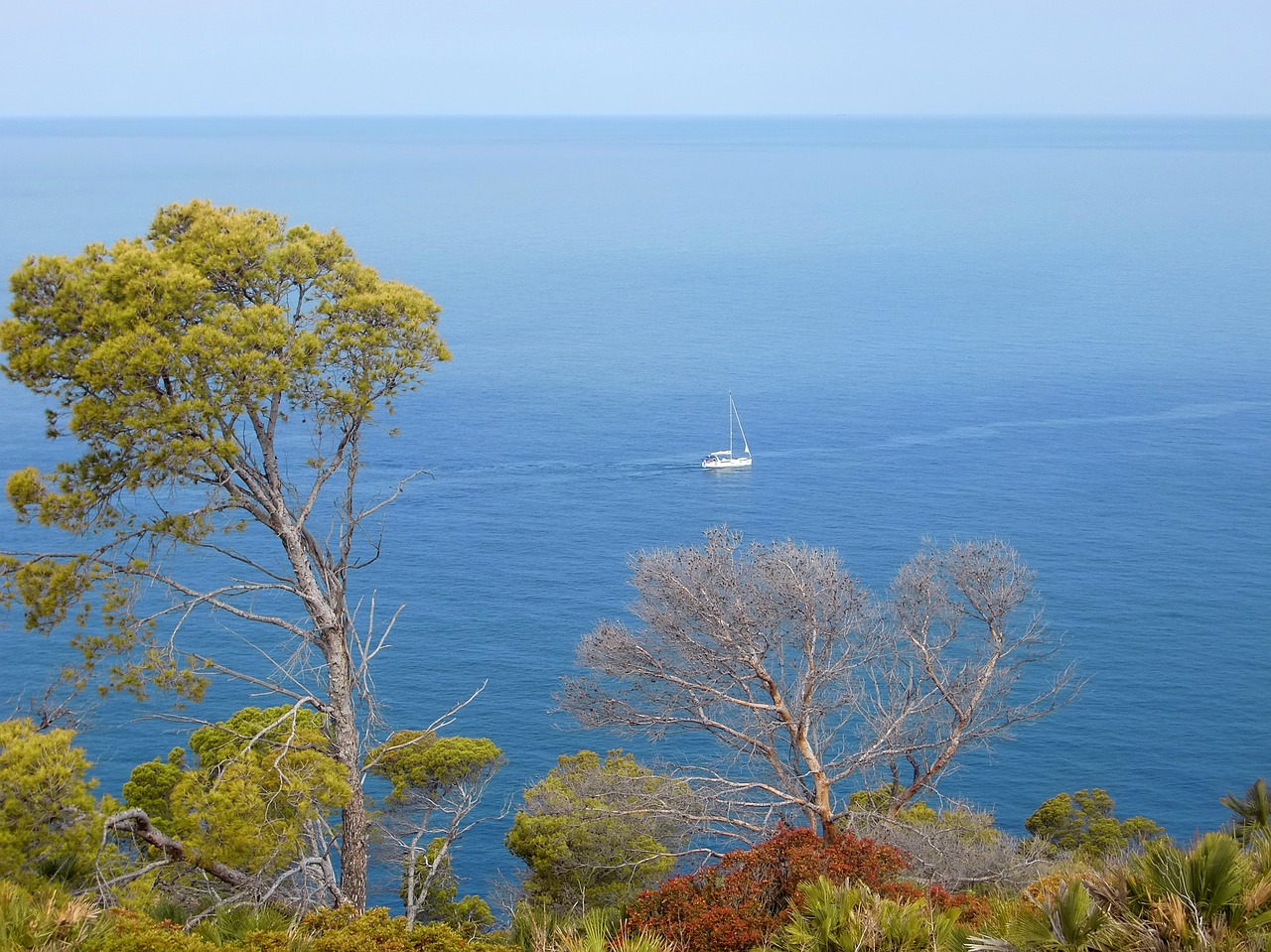 water sea rock free photo