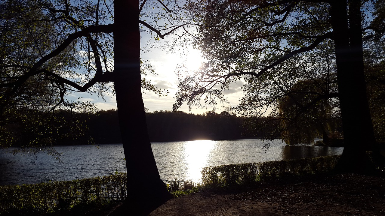 water light evening free photo