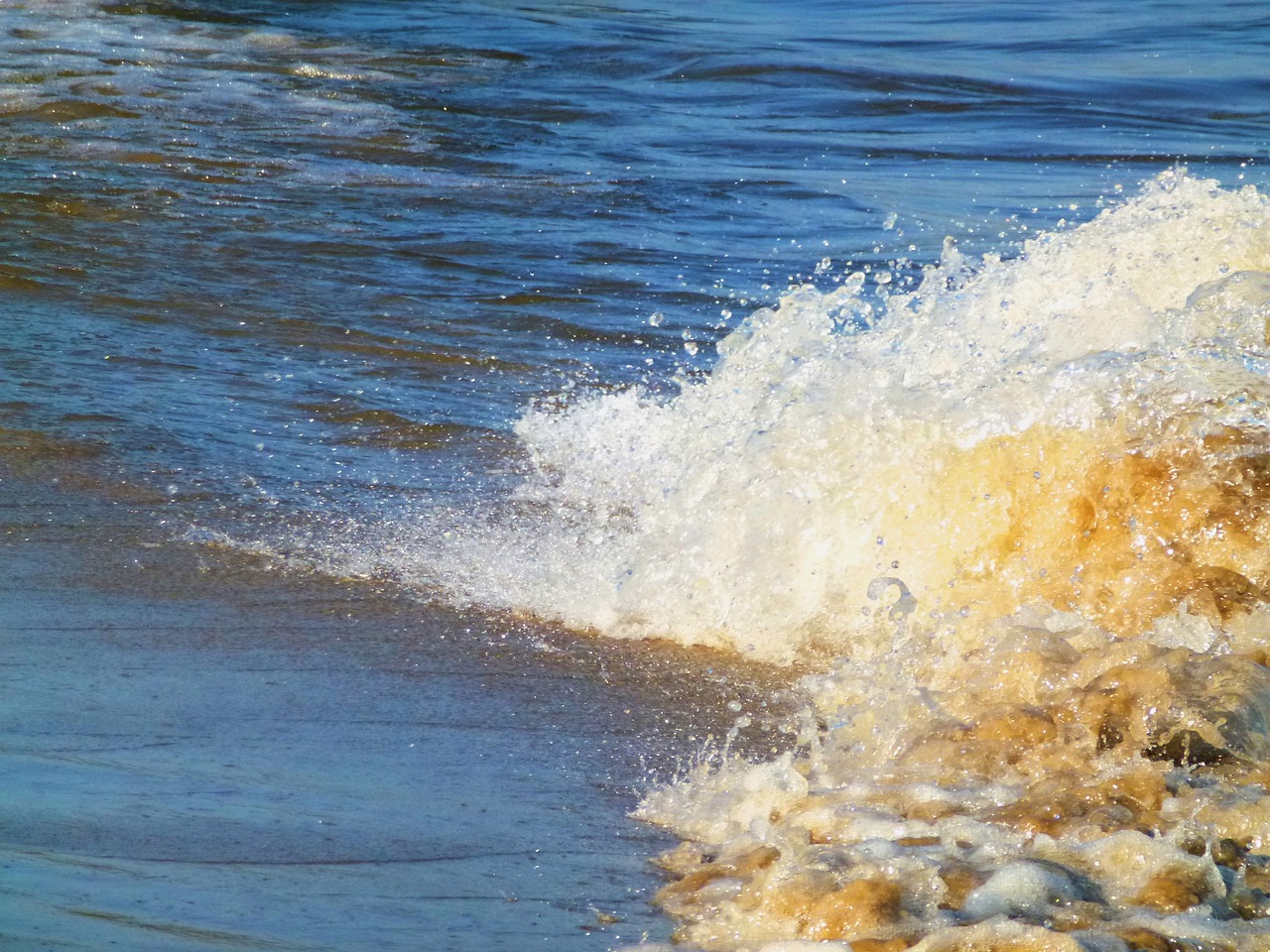 water elbe wave free photo