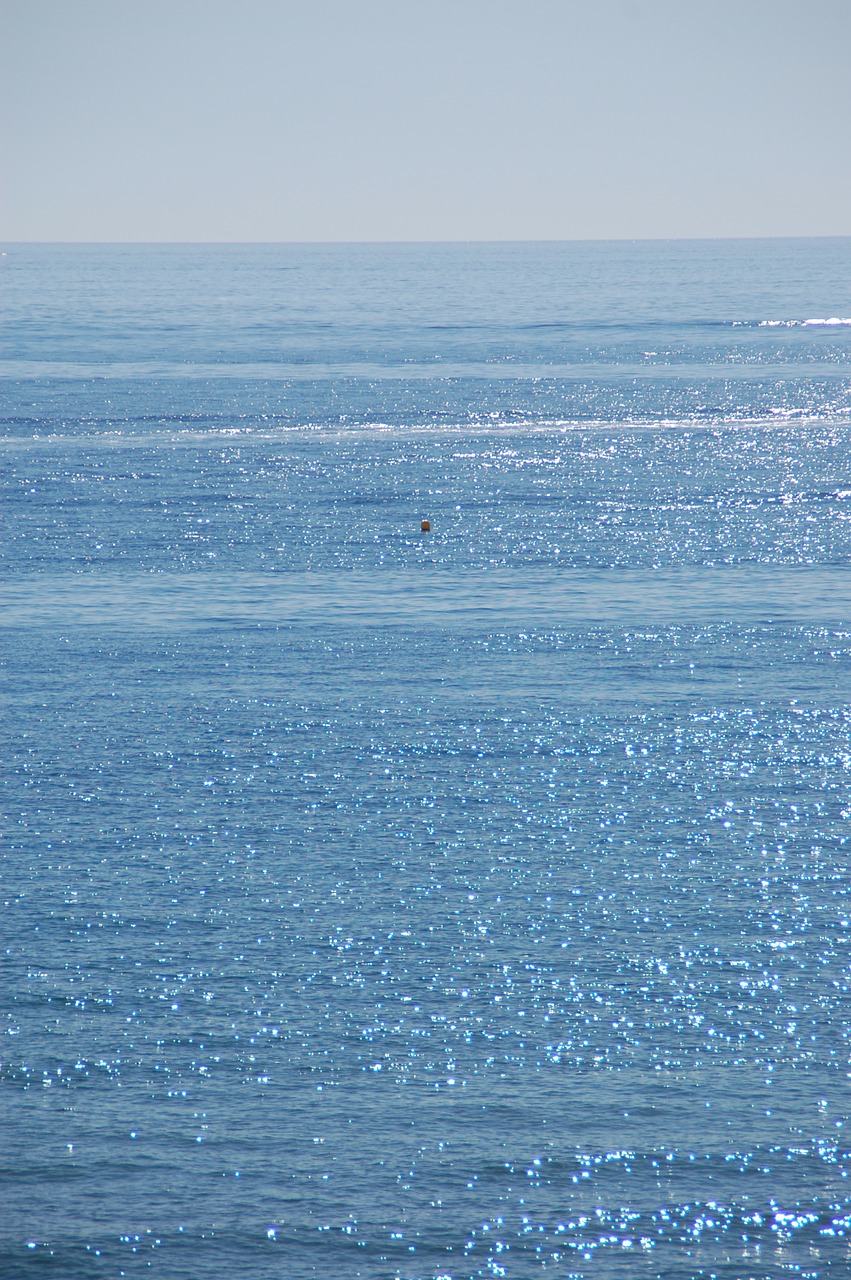 water horizon sea free photo