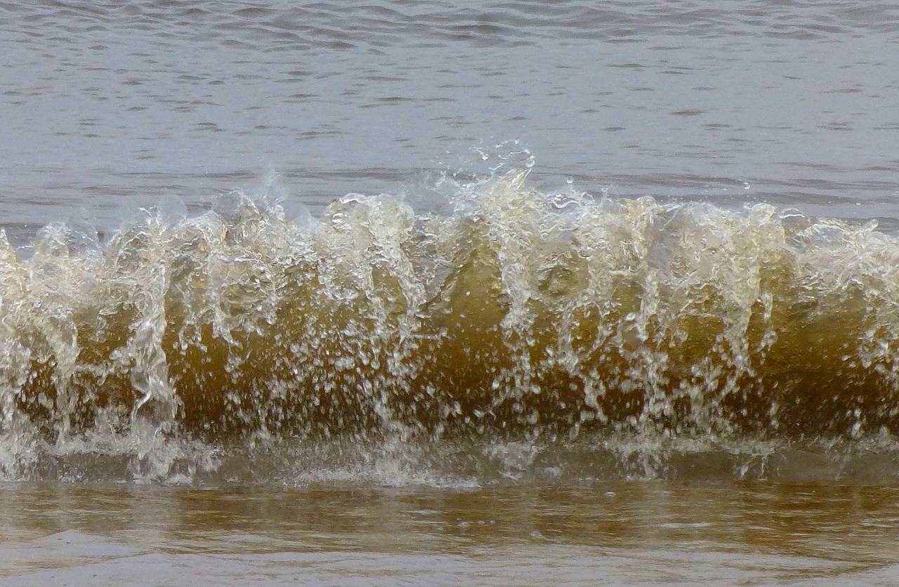 water elbe wave free photo