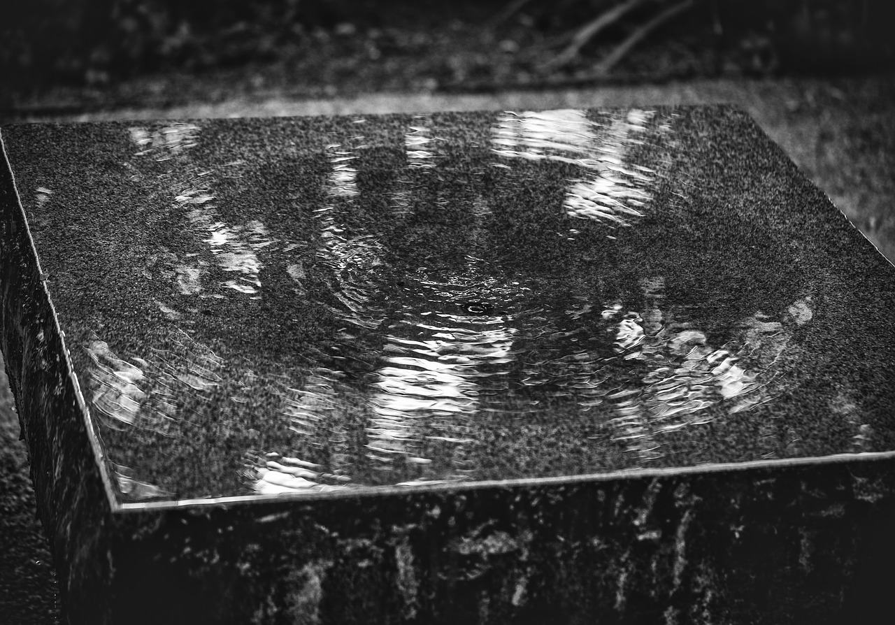 water ripple reflection free photo
