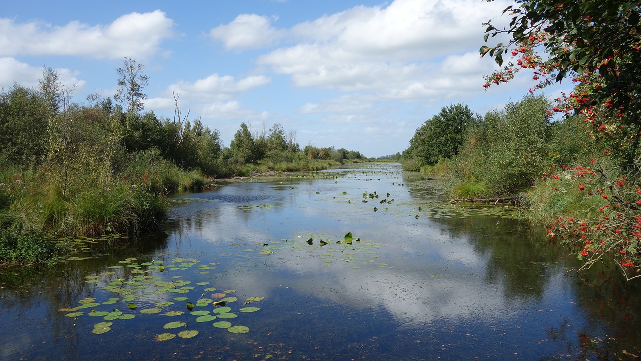 water nature landscape free photo