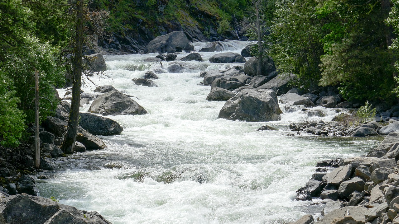 water washington landscape free photo