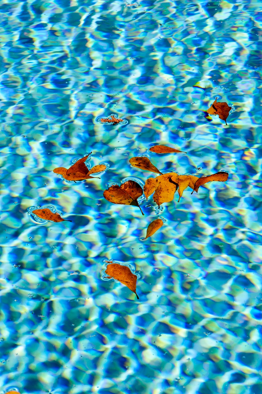 water pool sparkle free photo