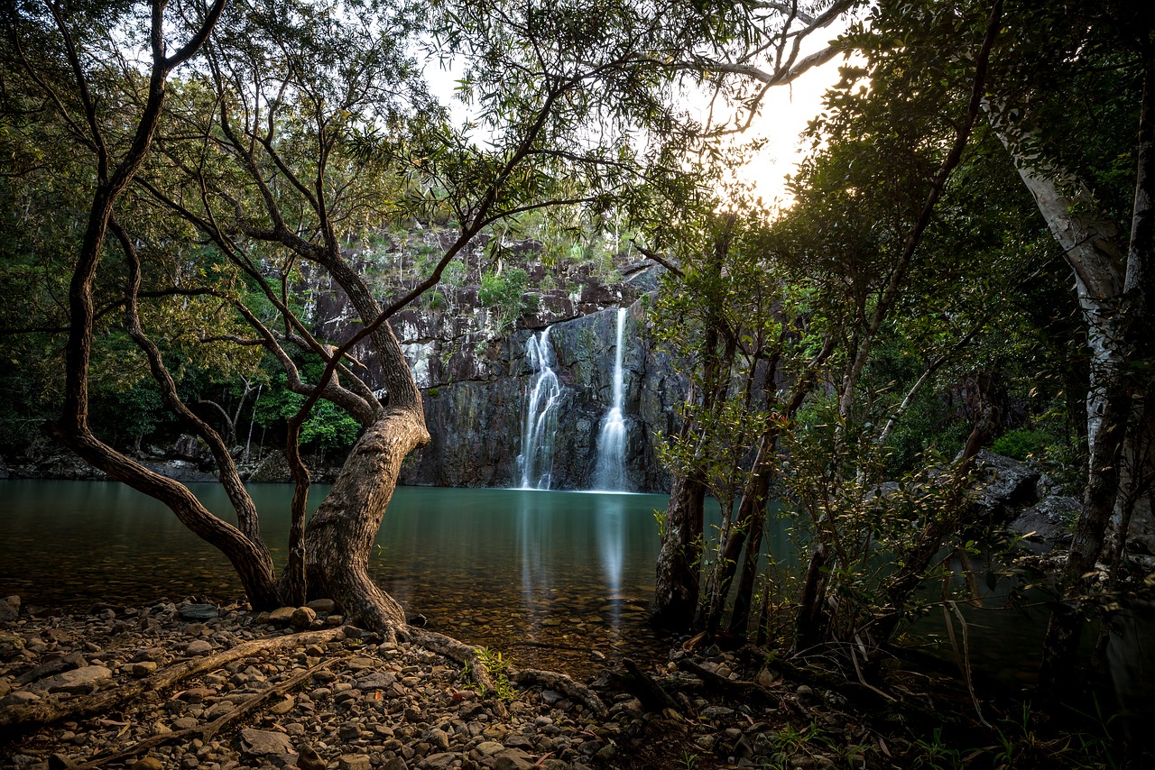 water waterfall tree free photo