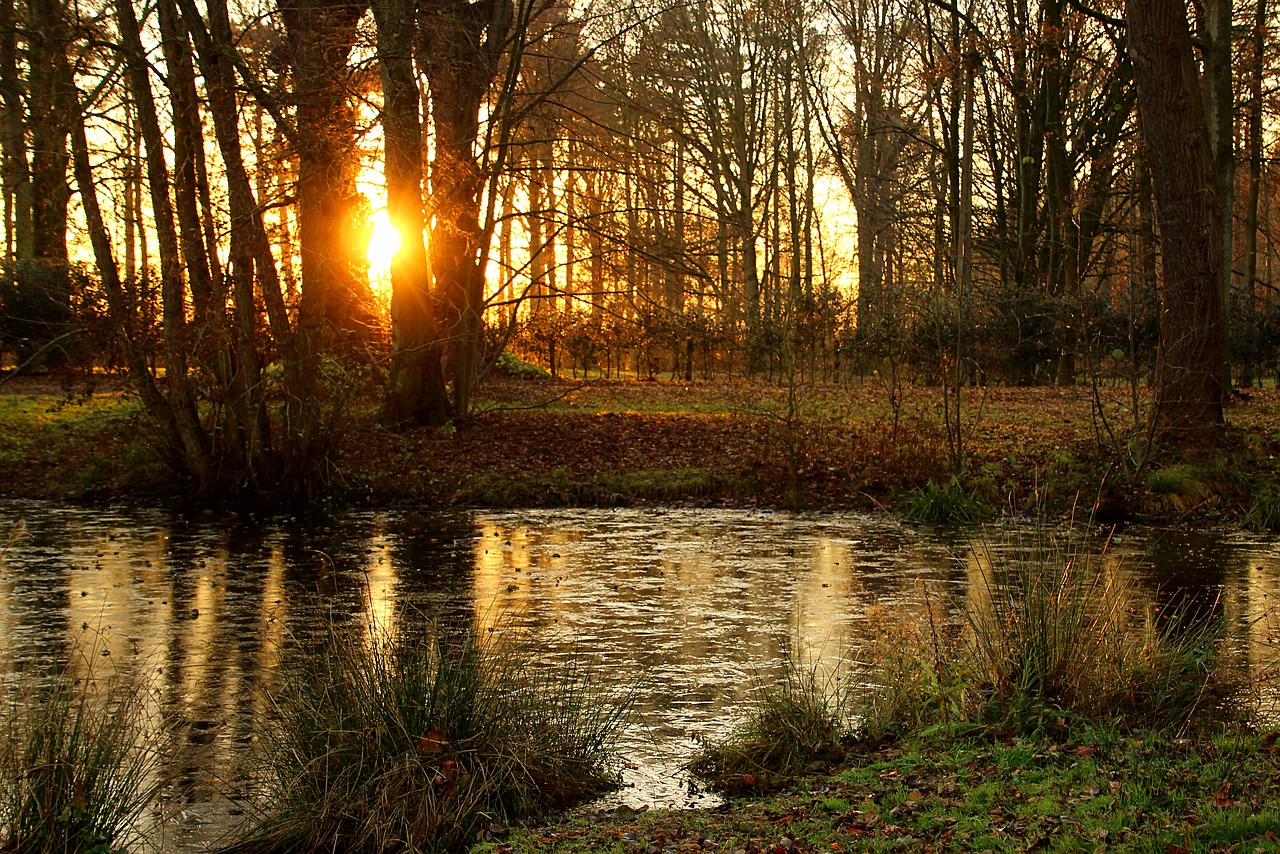 water sun pond free photo