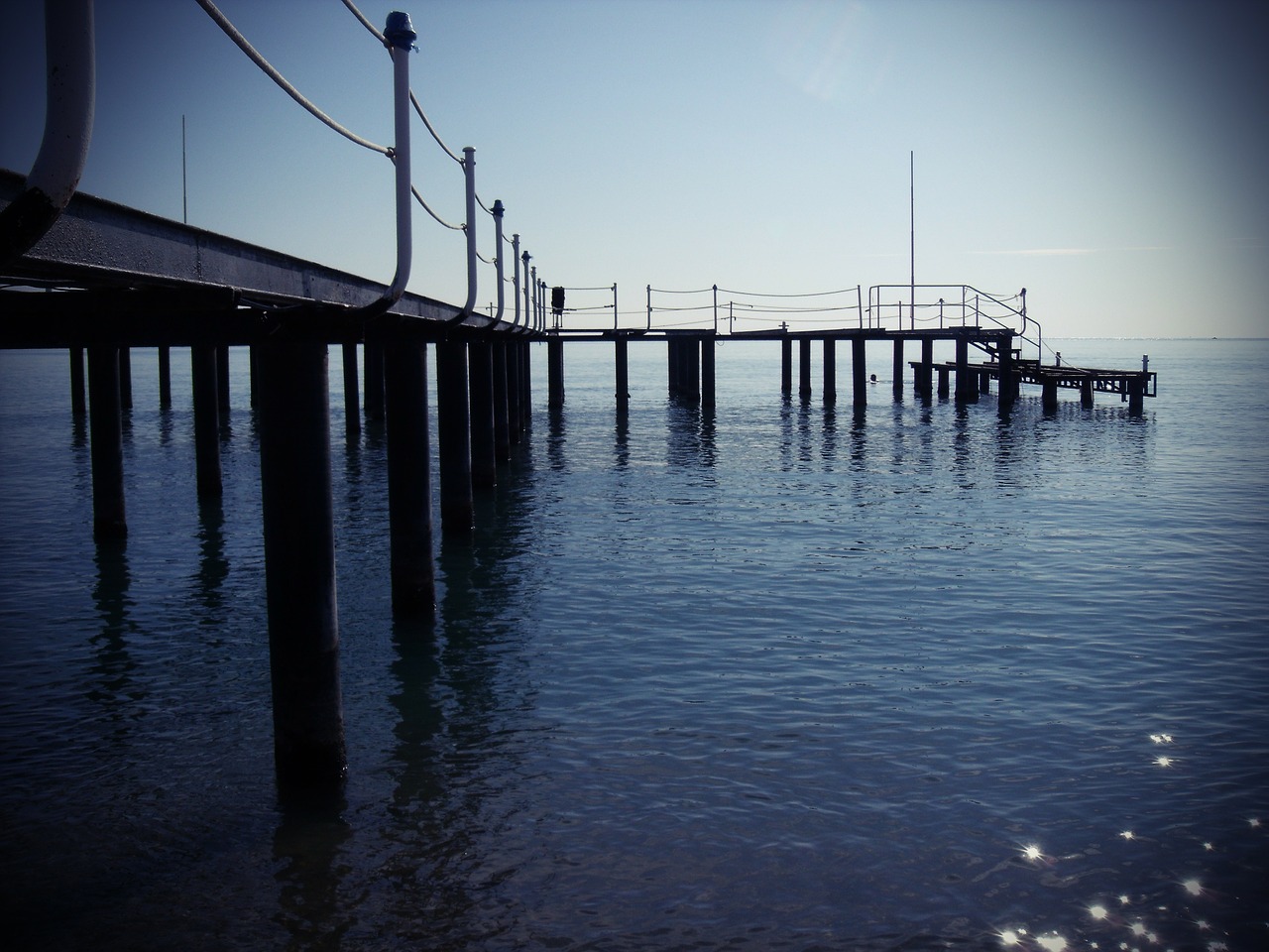 water web crossing free photo