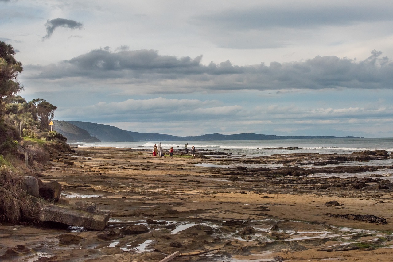 water beach summer free photo