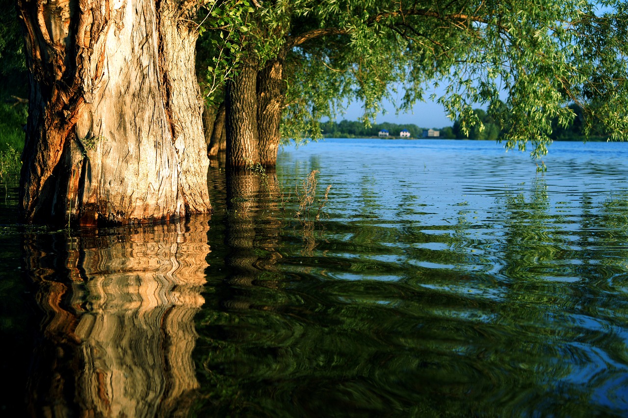 water reflection in the water river free photo