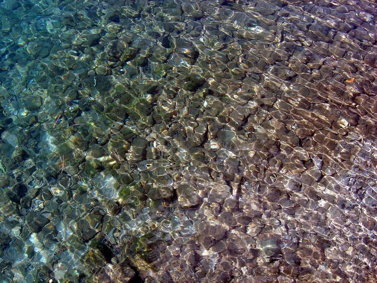 water clear pebbles free photo