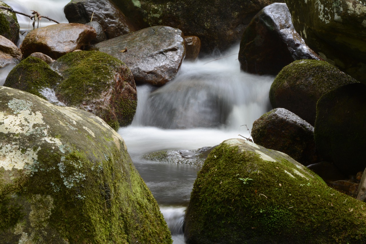 water waterfall forest free photo