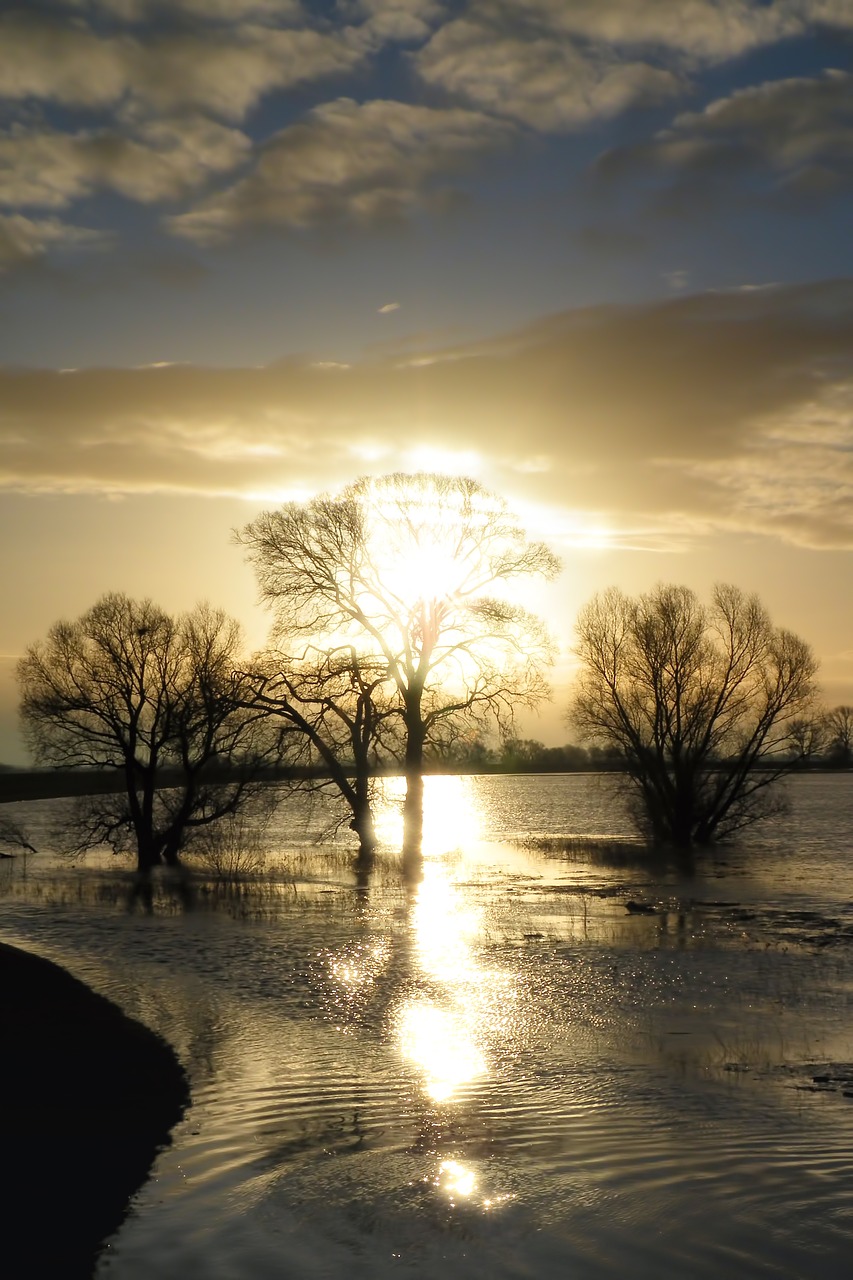 water high water flood free photo