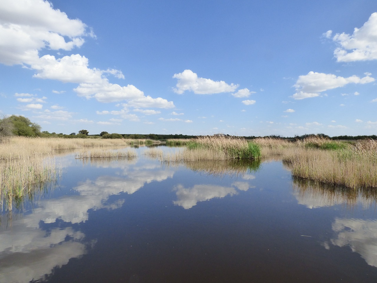 water clouds grass free photo