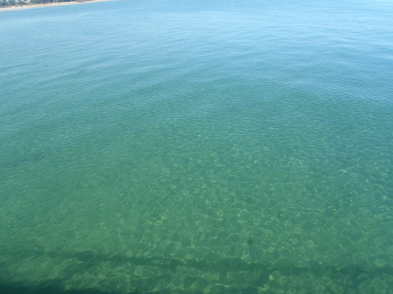 water shallow turquoise free photo