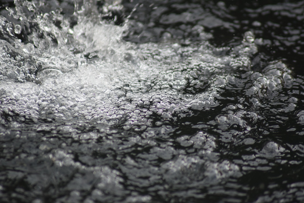 water drop drops free photo