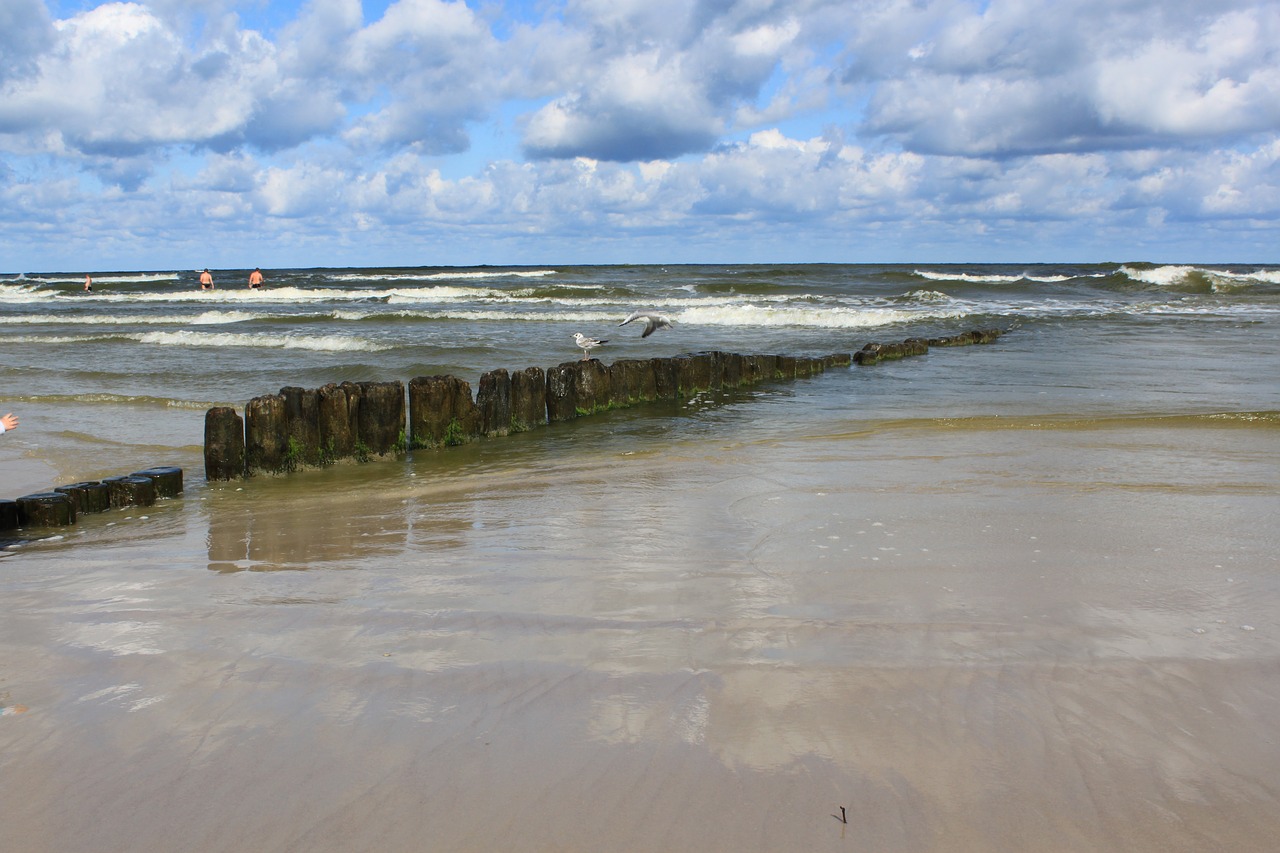 water sea the baltic sea free photo