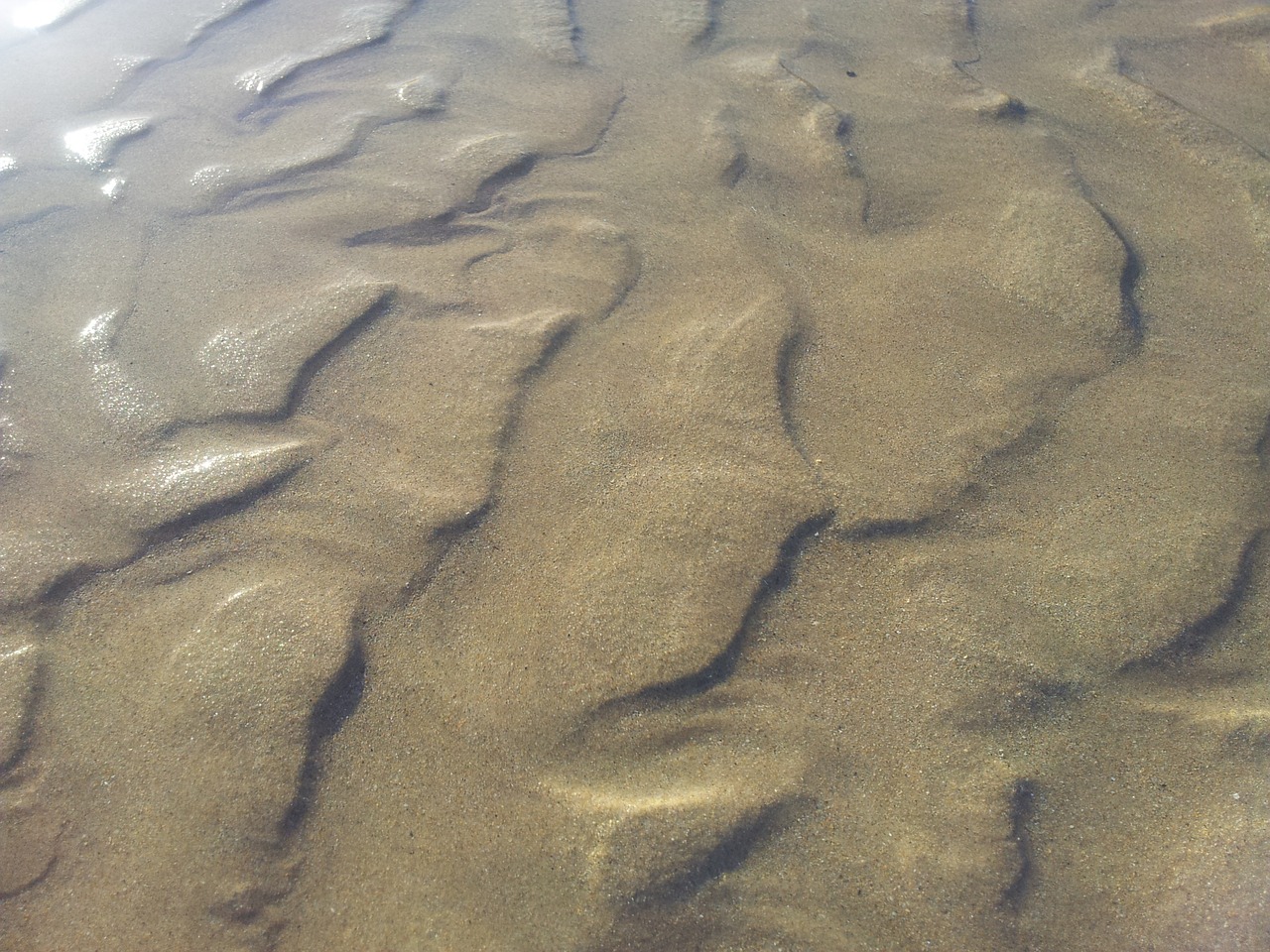 water sand beach beach free photo