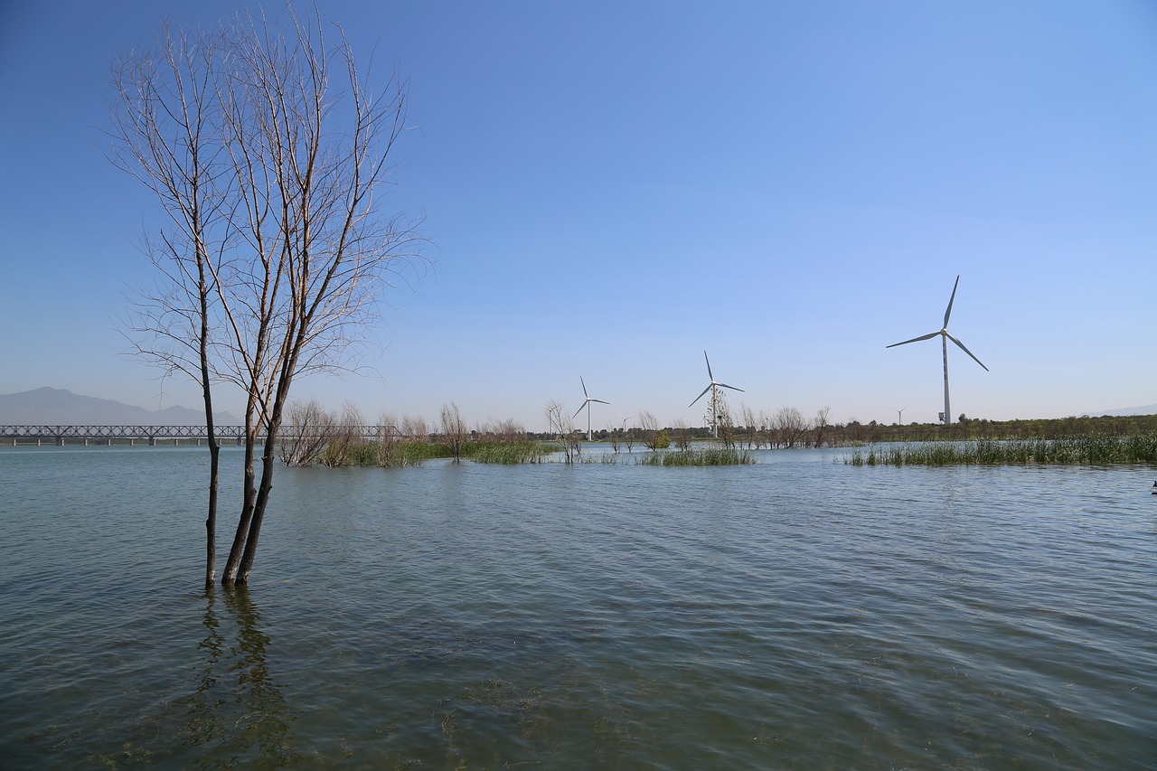 water blue sky windmill free photo