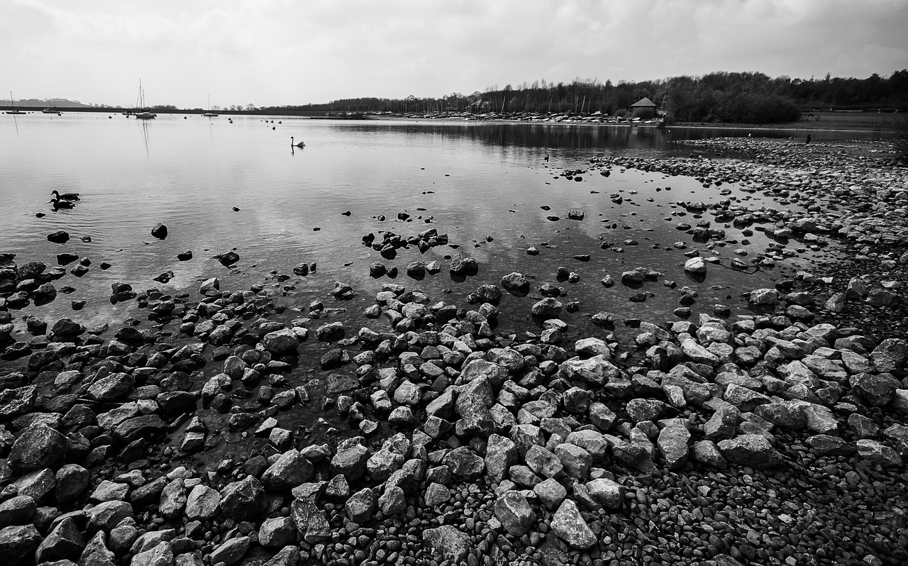 water landscape carsington free photo