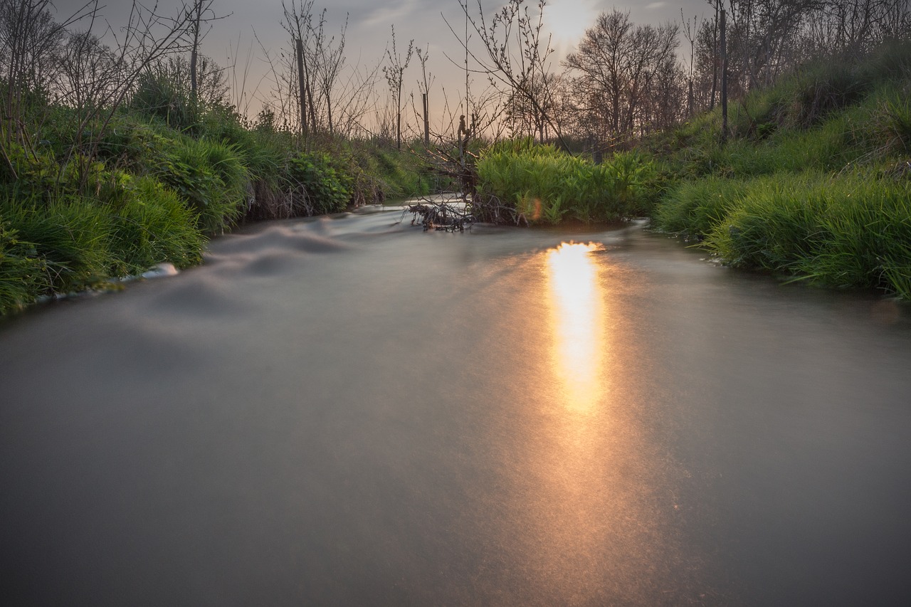 water bach nature conservation free photo