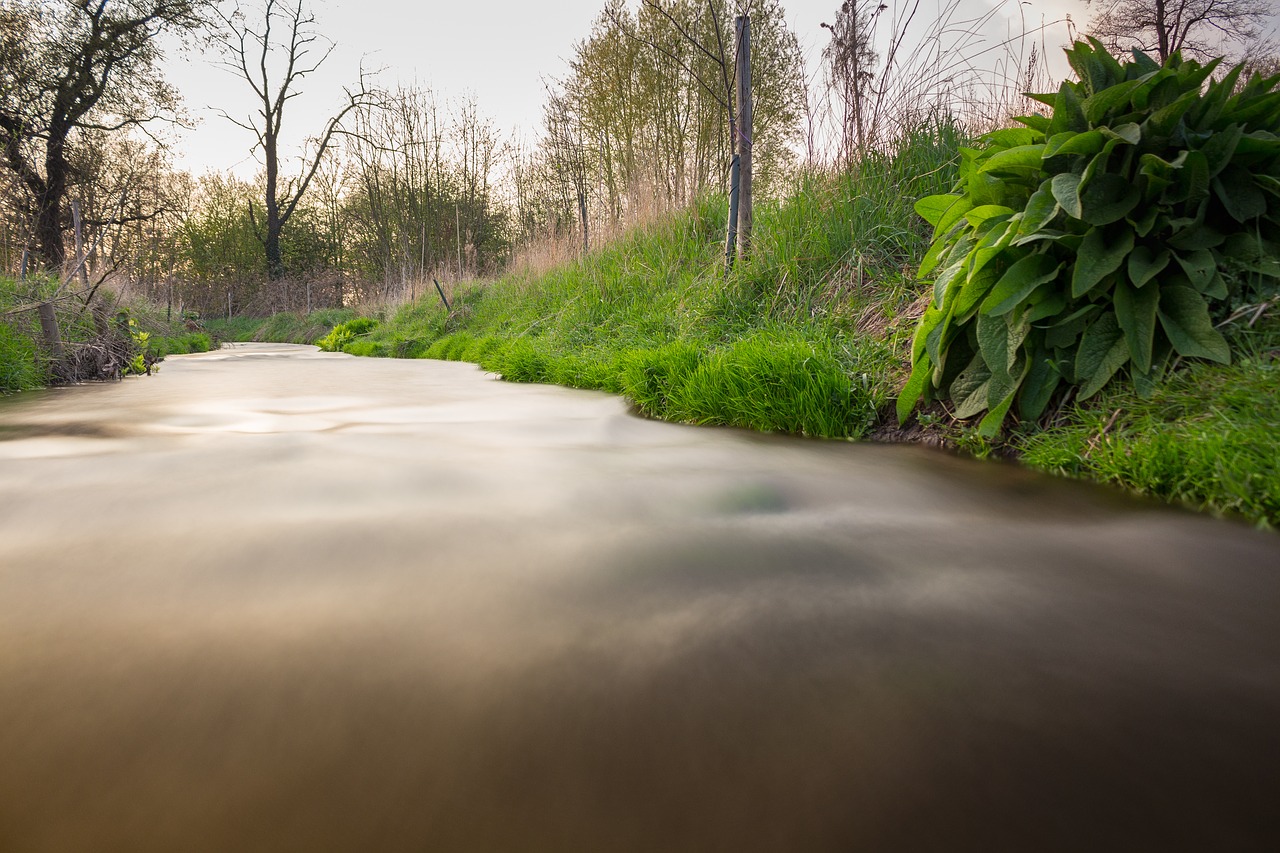 water flow nature conservation free photo