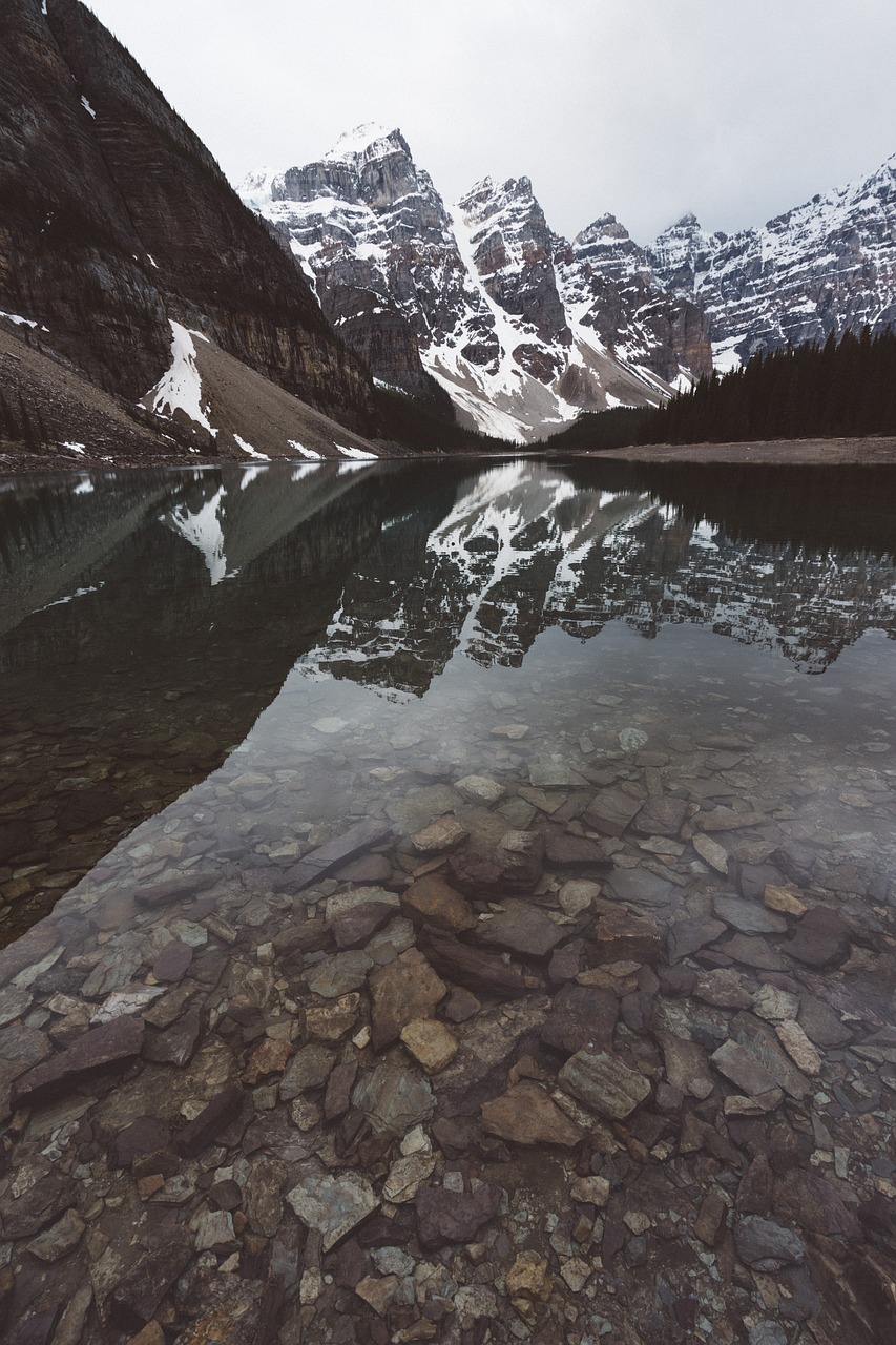 water reflect reflection free photo