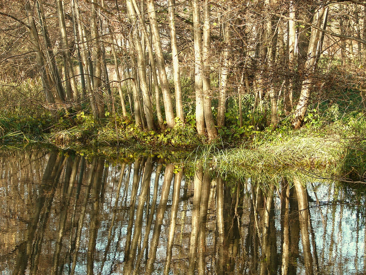 water river lake free photo