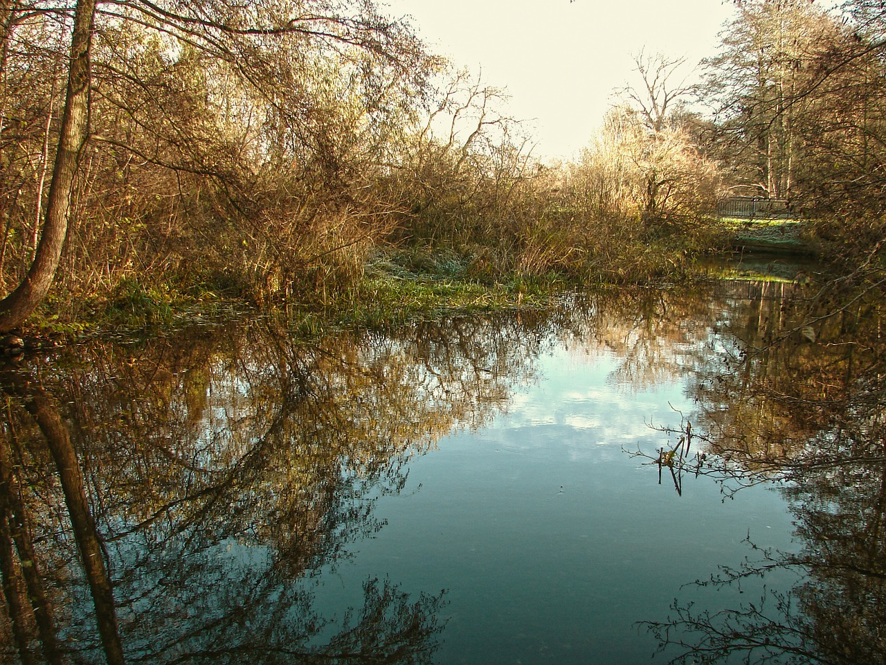 water river lake free photo