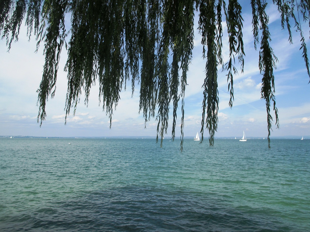 water lake romanshorn free photo