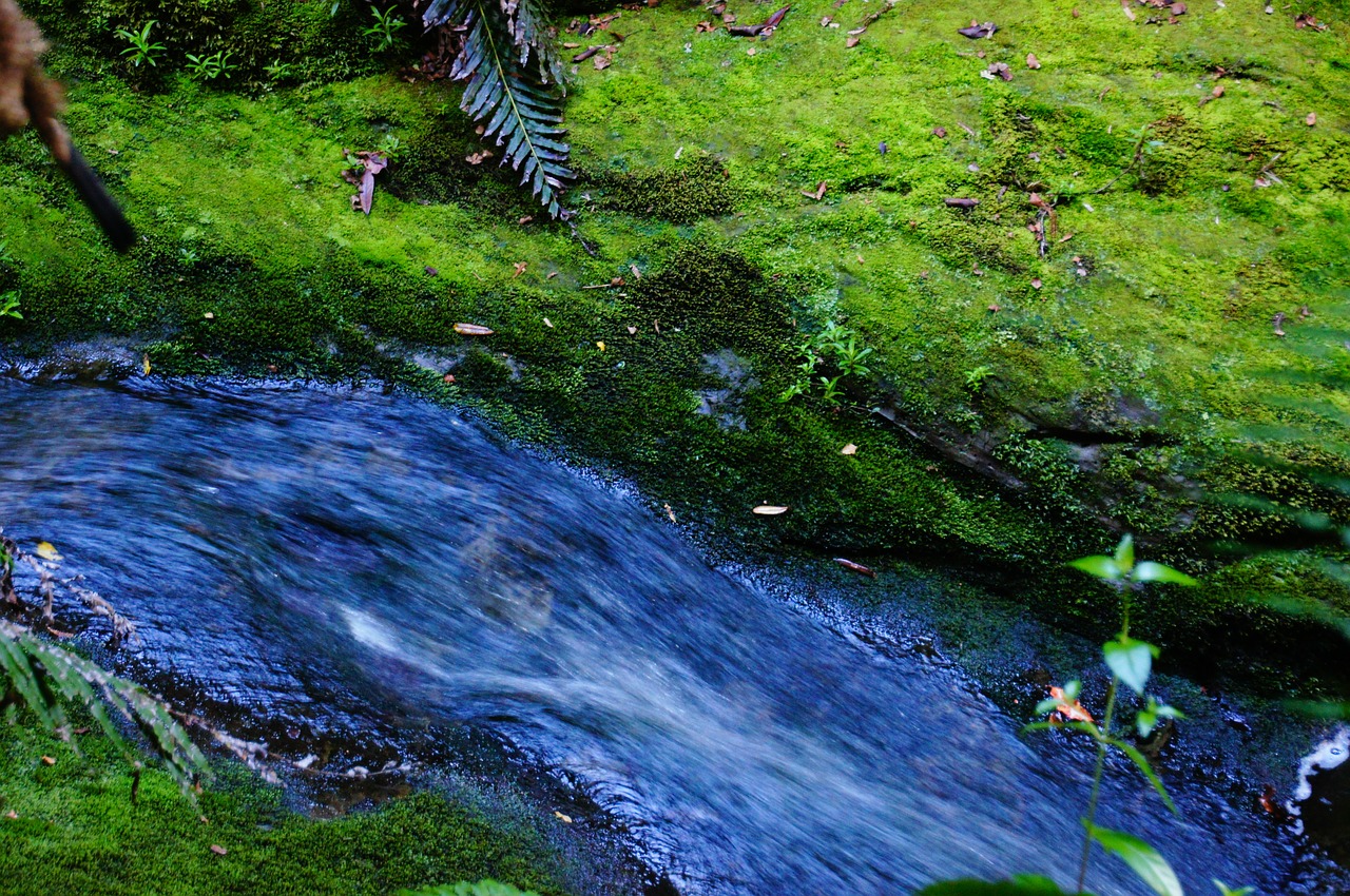 water fluent river free photo