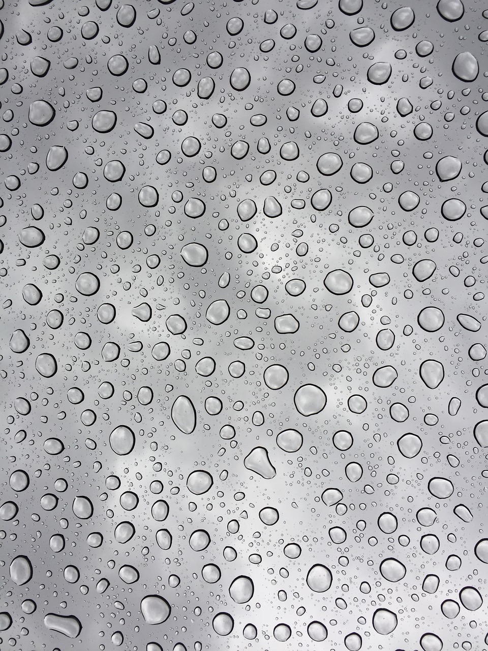 water droplets drop free photo