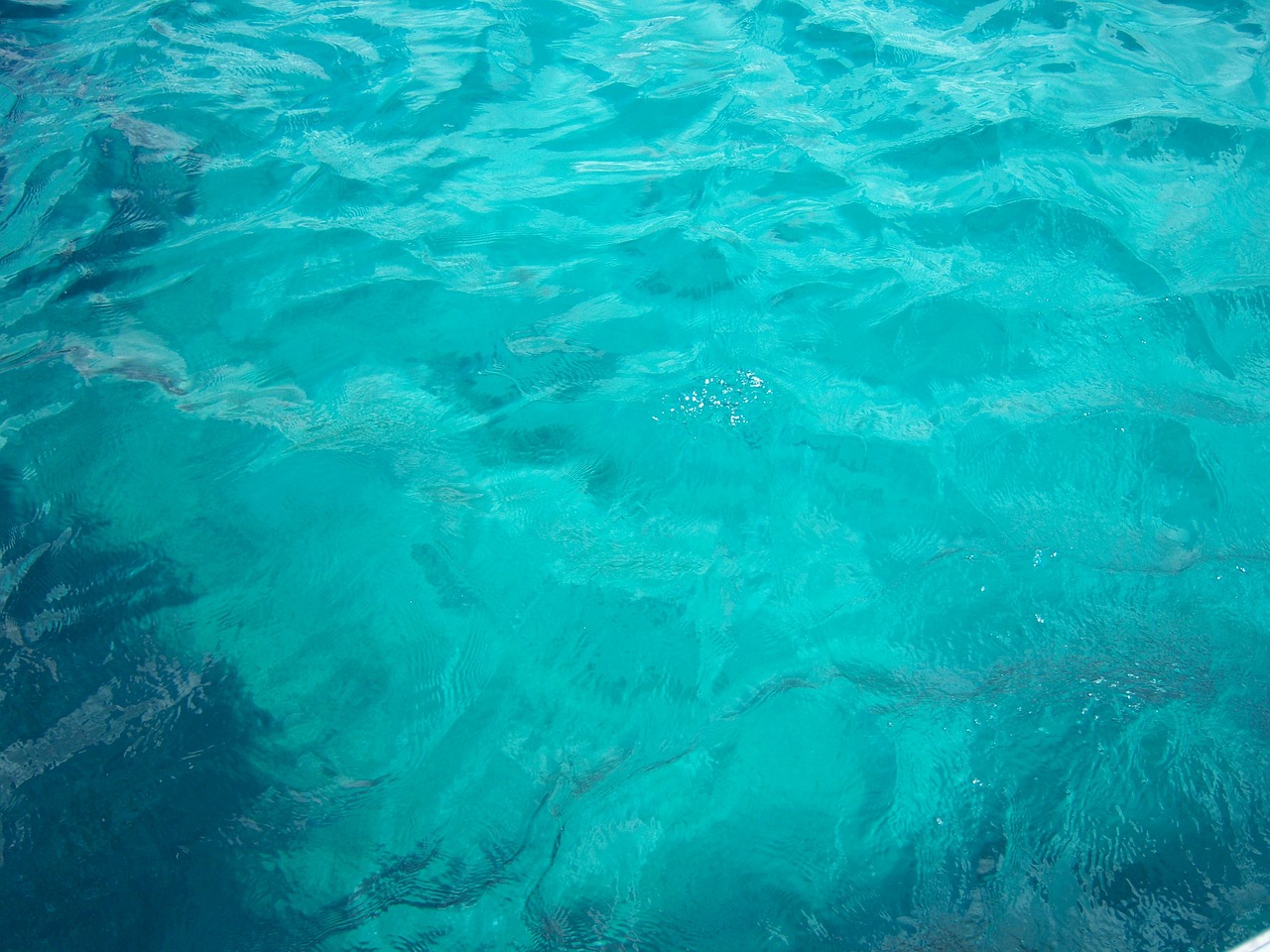 water blue sea free photo