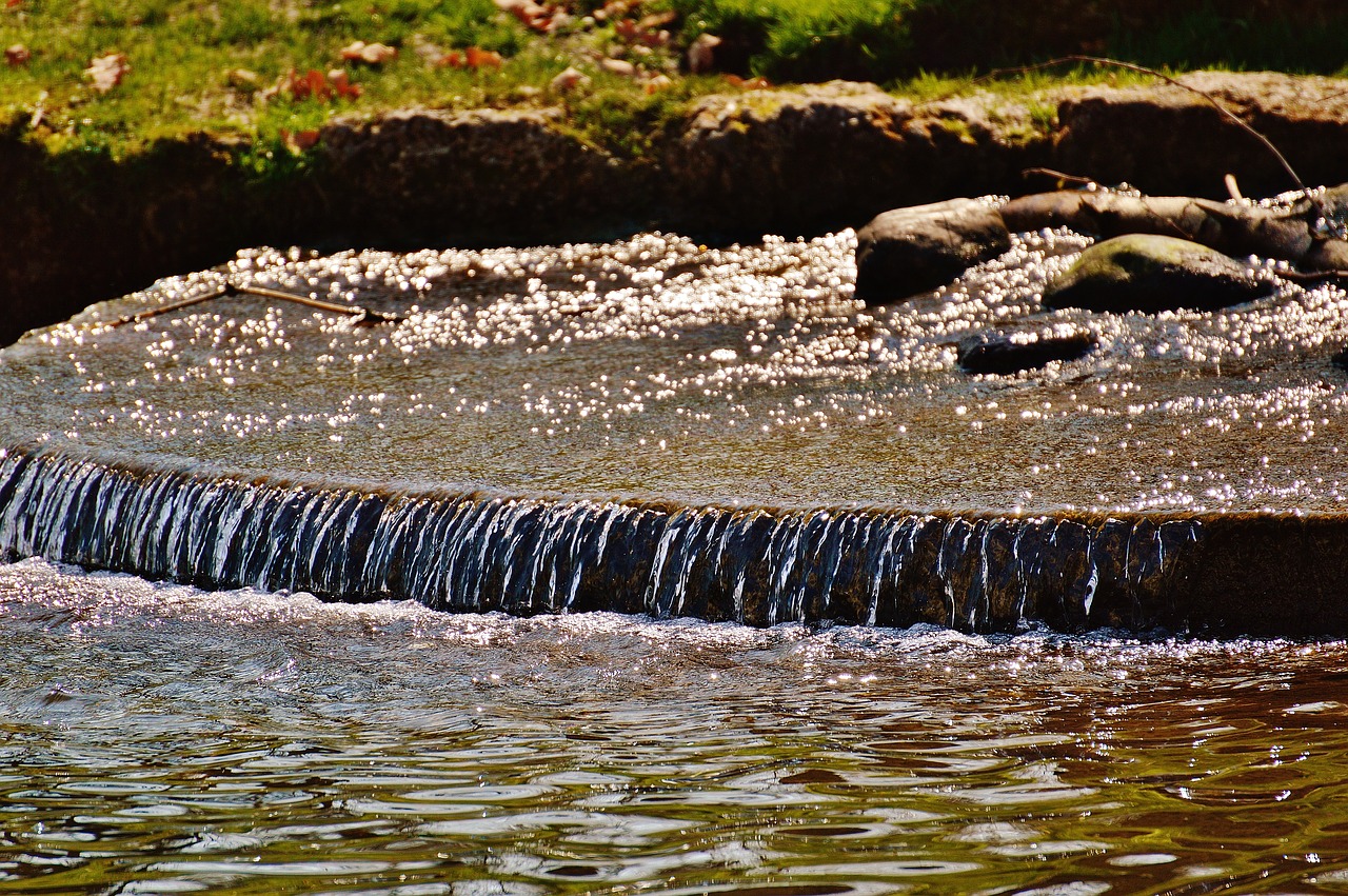 water bach nature free photo