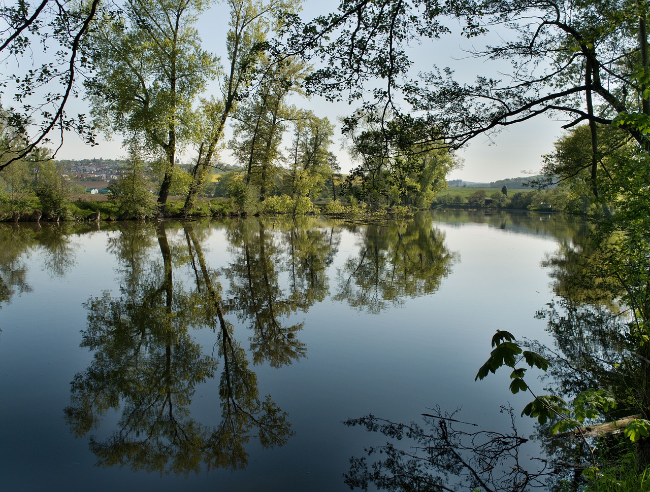 water spring nature free photo