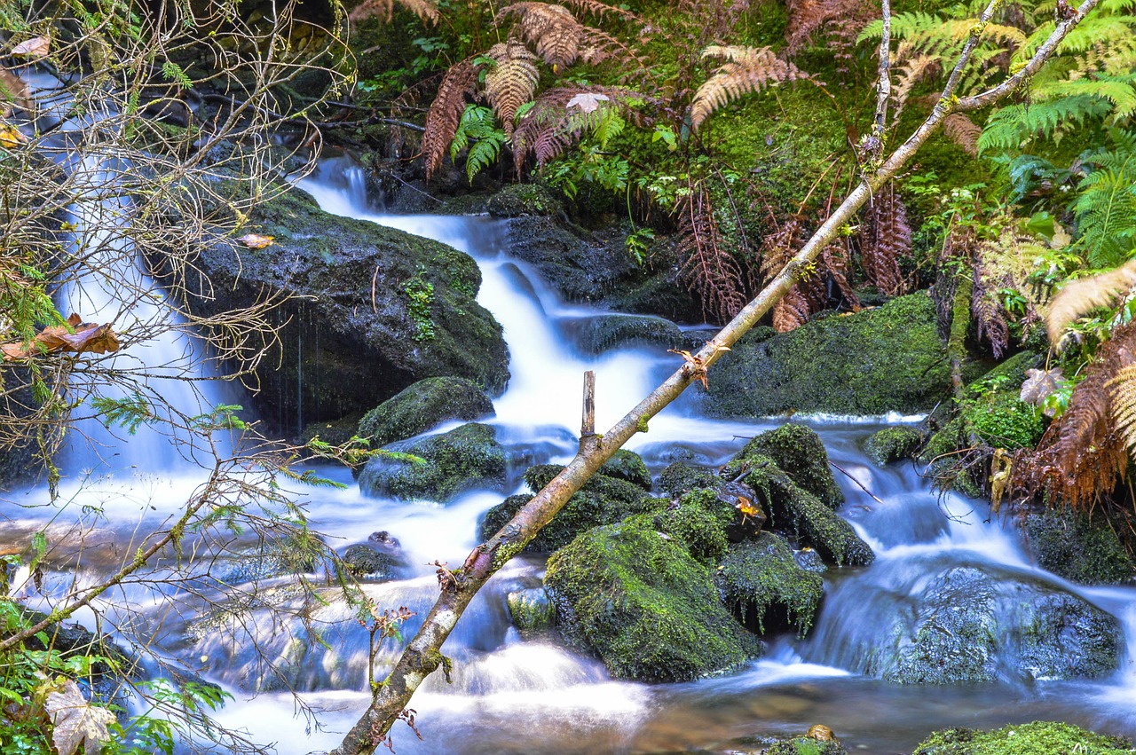 water bach austria free photo